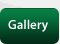 DIGITAL SURVEYS