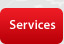 DIGITAL SURVEYS
